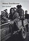 Capa do livro Beleza Exorbitante, Jean Galard