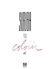Capa do livro Suruba Para Colorir Vol. 2, Bebel Books