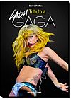 Capa do livro Tributo a Lady Gaga, Elaine Freitas