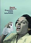 Capa do livro Engolido pelas labaredas, David Sedaris