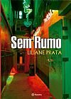 Capa do livro Sem Rumo, Liliane Prata
