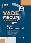Capa do livro Vade mecum conjugado, Elisabete Vido
