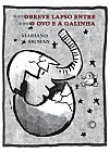 Capa do livro O breve lapso entre o ovo e a galinha, Mariano Sigman