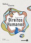 Capa do livro Curso de direitos humanos, Sidney Guerra