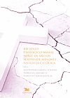 Capa do livro Reflex�o teol�gico-moral sobre os abusos sexuais de menores na Igreja cat�lica, Diversos Autores