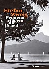 Capa do livro Pequena Viagem ao Brasil, Heike Muranyi