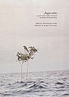 Capa do livro Fogo Alto, Afonso Henriques Neto