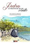 Capa do livro Pedra e o menino de pés de vento, Ed Carlos Guimarães