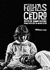 Capa do livro As folhas do cedro, Samir Yazbek